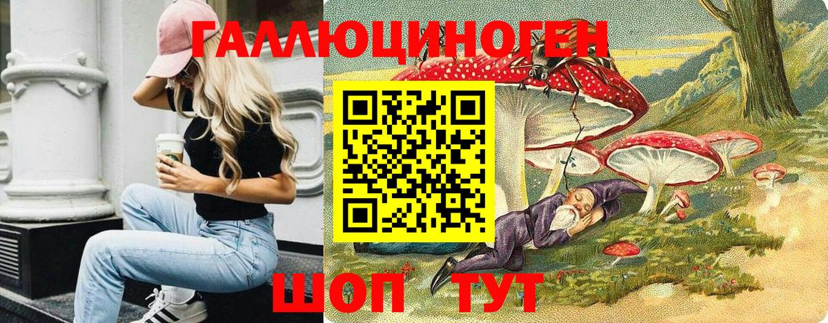 Горно-Алтайск  Псилоцибиновые грибы мухоморы  Вход с VPN 